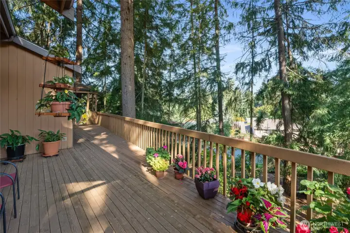 Deck seating area with access to the interior, ideal for year-round enjoyment, morning coffee, or quiet evenings immersed in nature.