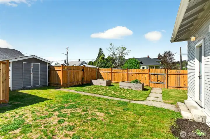 Fully fenced backyard with raised garden beds and Shed.