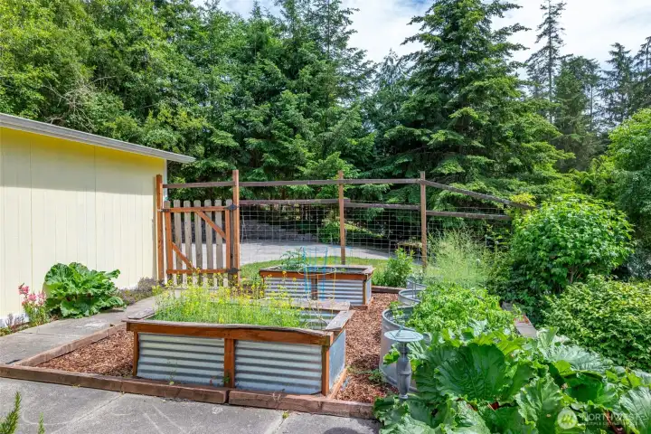 Ready for your green thumb