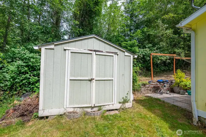 Shed