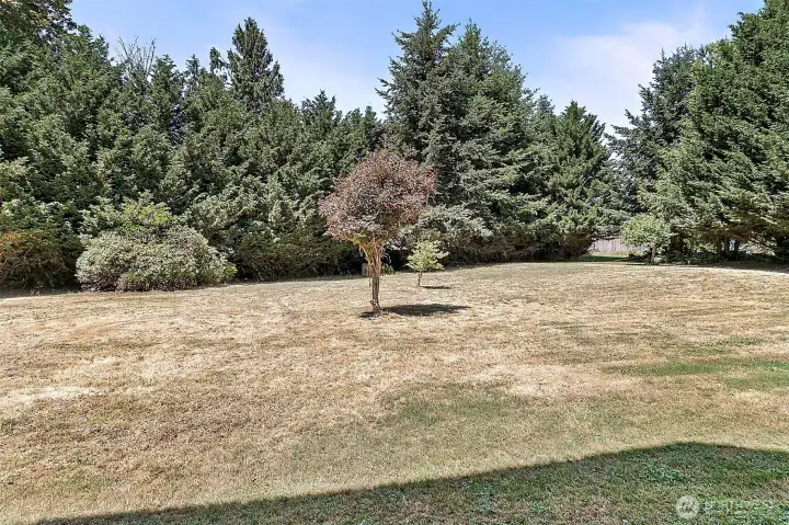 Totally private backyard- big enough for the neighborhood ball game.