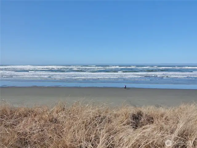 Take a stroll along the Beach.