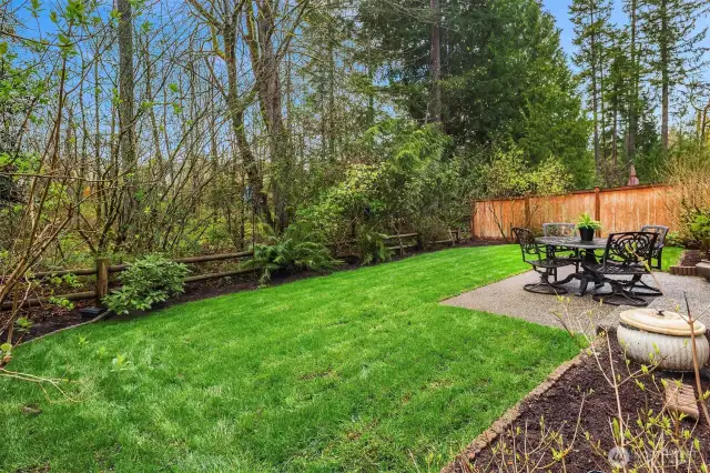 Perfect size flat backyard that backs up to a protected green belt and features comfortable patio perfect for Summer BBQs or a morning coffee.