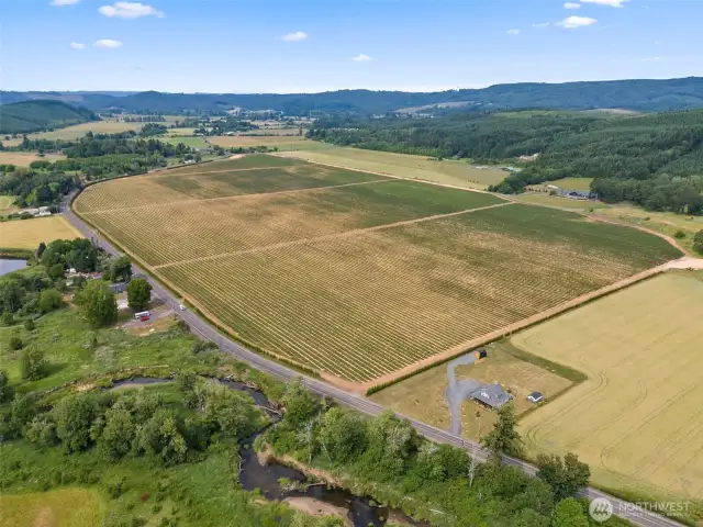 Neighboring Organic Blueberry Farm