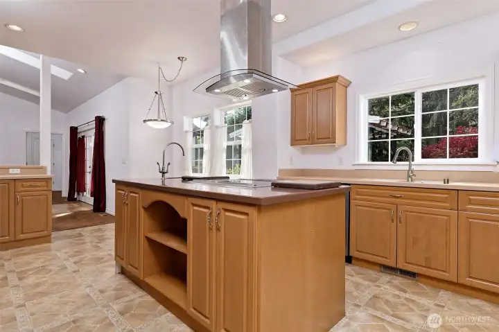 Prep sink near the flat-surface top-end range/oven.