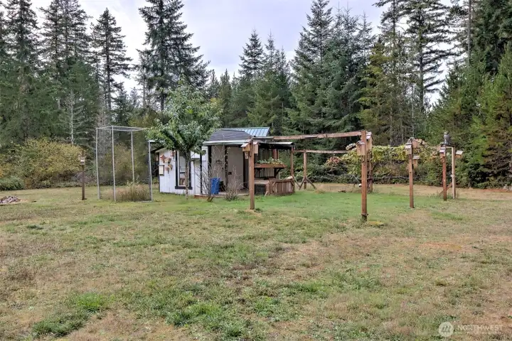 Grape arbor with red and green grapes. The deer love to hang out here!