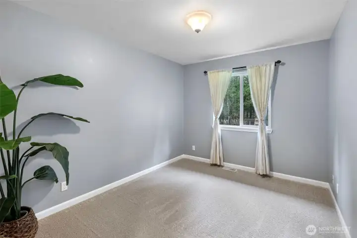 Bedroom #2 - New Carpet