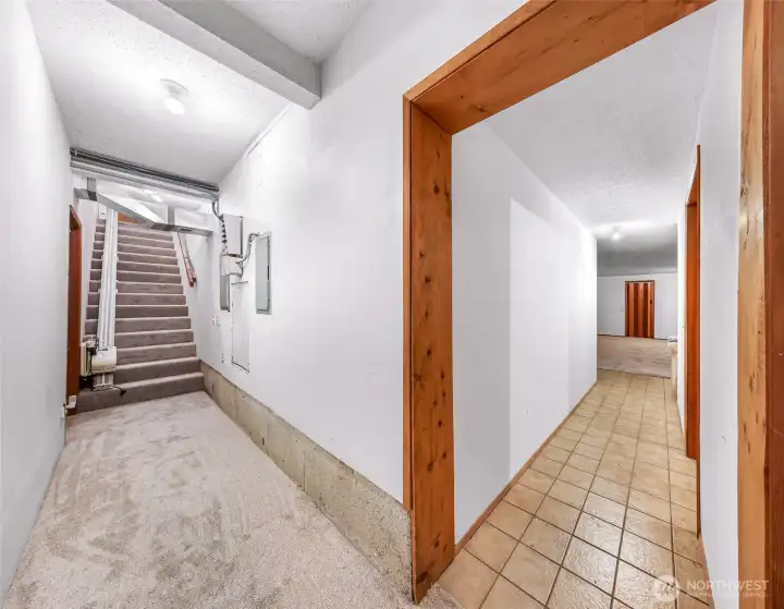 Brand new carpet on stairs and downstairs hall.