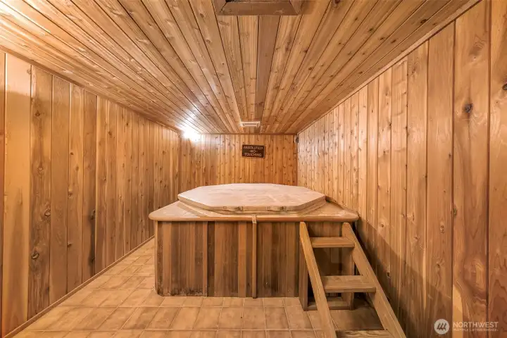 Hot tub room downstairs.