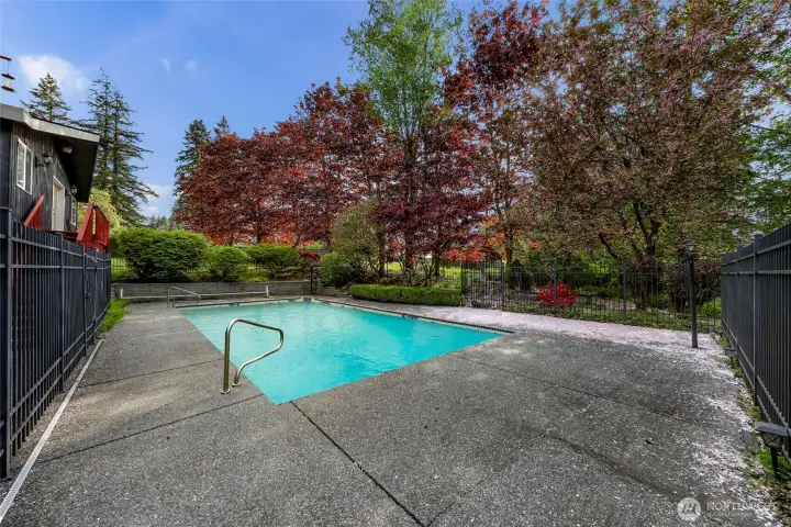 In-ground, heated pool.