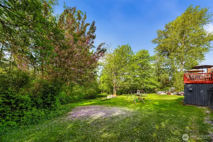 Partially wooded, 1.3 acre lot.