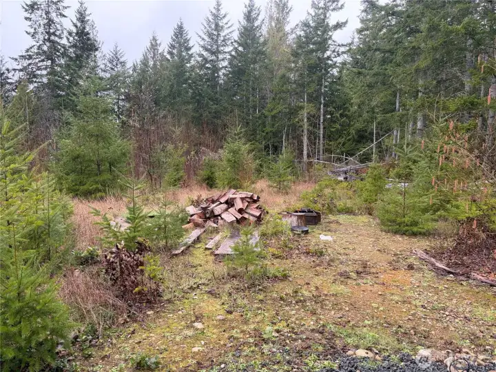 View from the front porch of the tiny cabin.