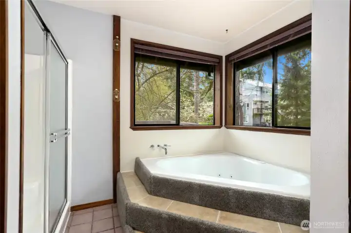 Jetted soaker tub & separate shower in primary bath suite.
