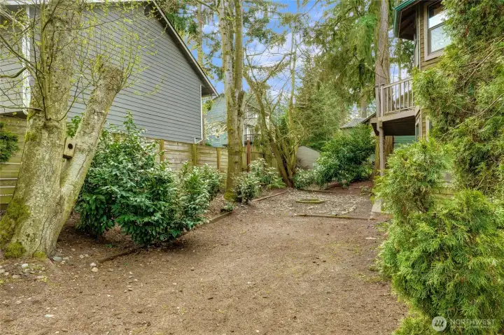 Rear yard area. Lots of space to develop how you wish.