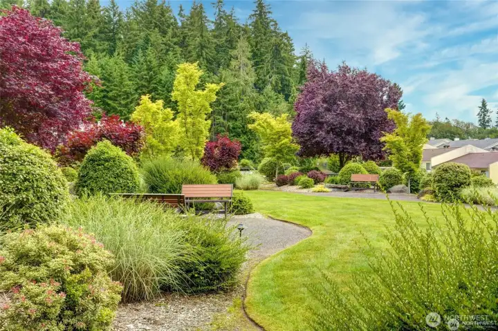 Tranquil landscaping.