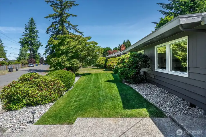 from the front door looking nort to sideyard.