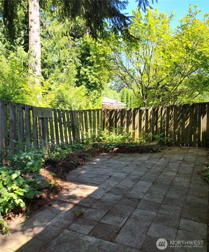 back yard