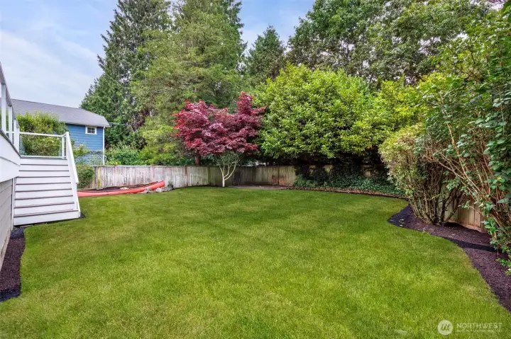 Large and Level Back Yard Large and Level Back Yard