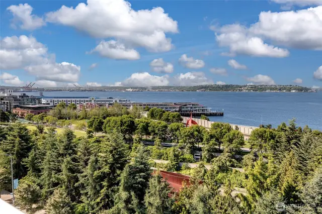 Roof Top view of Elliott Bay.