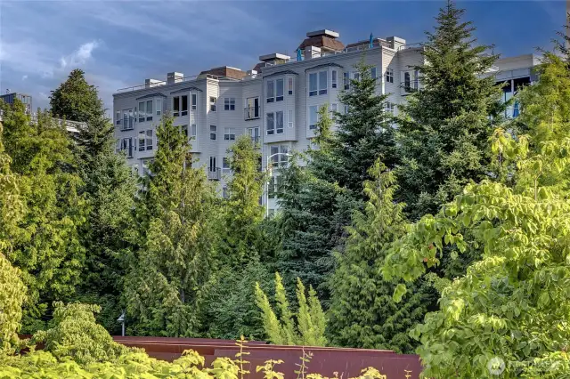 Looking back at the Alexandria Condominium building.