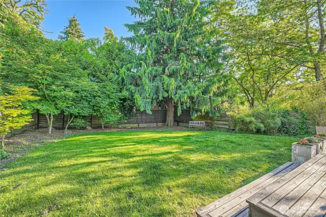 This backyard resembles a park. The greenery reminds us of why we love the Pacific Northwest!
