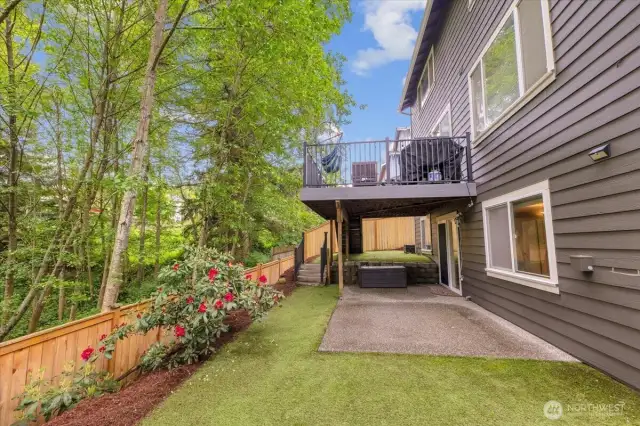 large yard area with turf - no mowing!