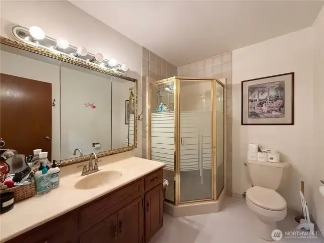 Lower level bathroom