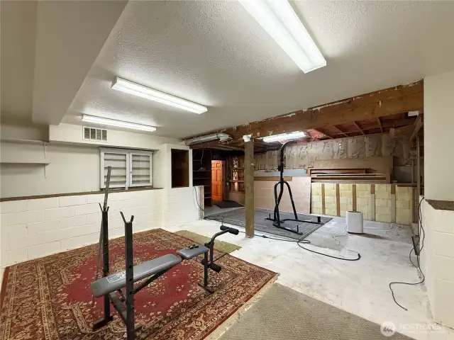 Lower level basement workout area/storage