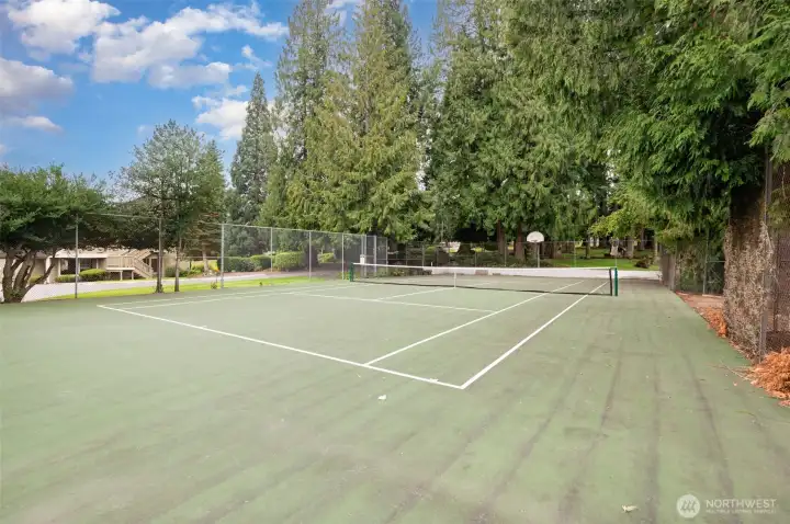 Low dues cover tennis court