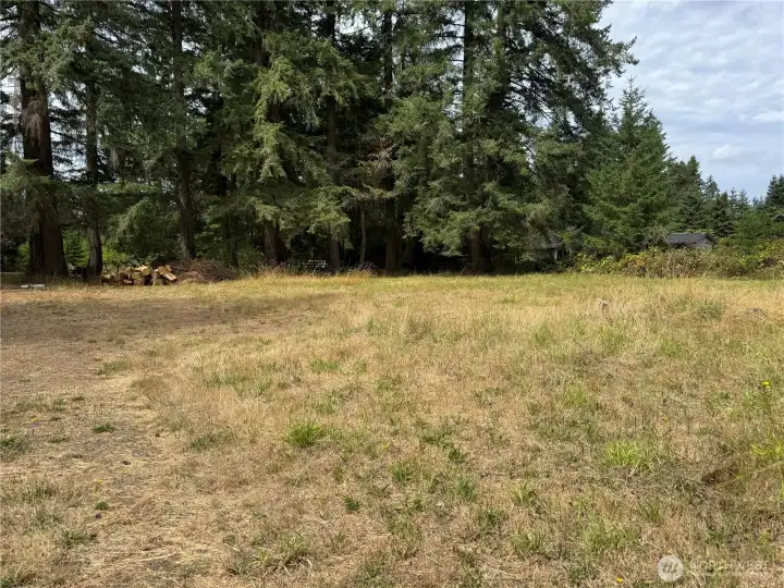 Property and trees looking towards the road