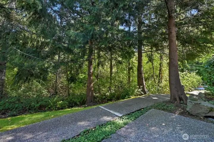 Patio adjacent to wooded open space