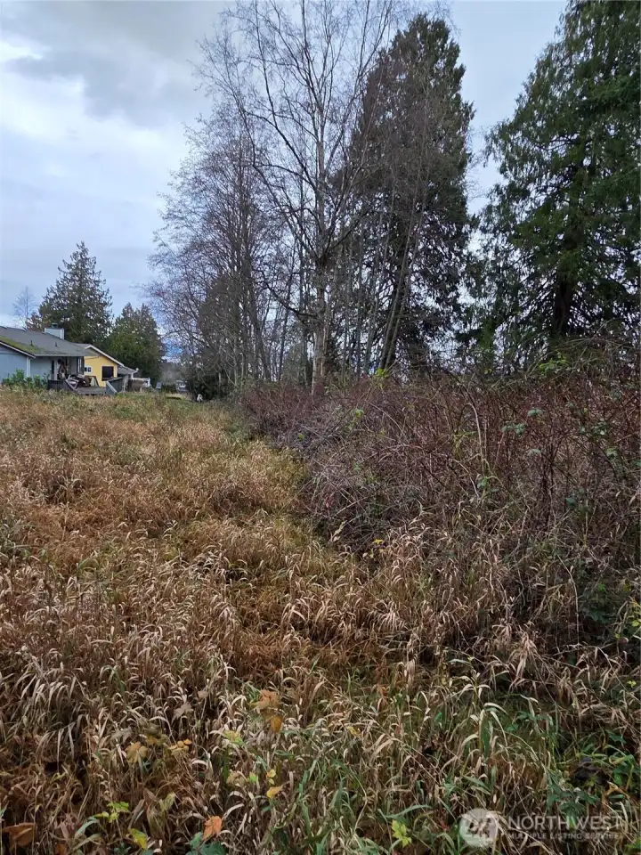 Looking North from lot