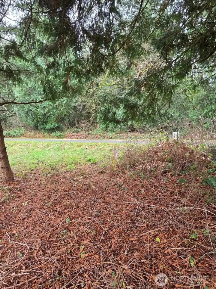 Property is surveyed, marking stakes on site