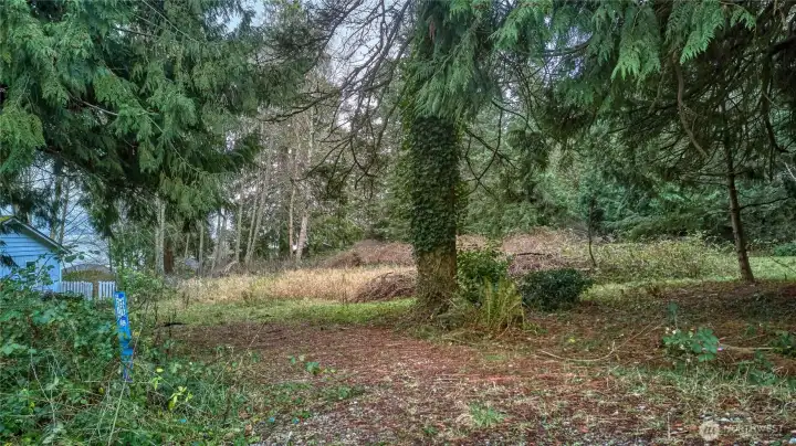 Driveway on the west side of the property off of Donegal i