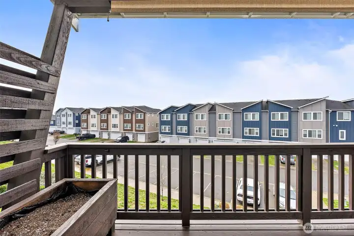 Mt Rainier Views(Not Pictured)