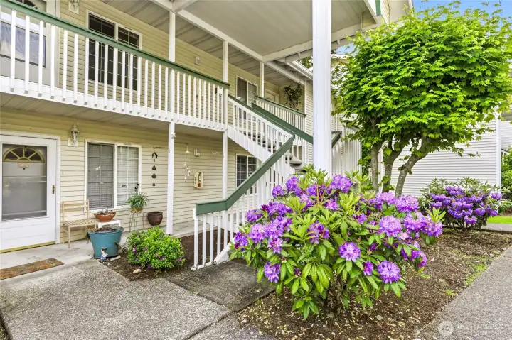 Very well kept professionally landscaped grounds