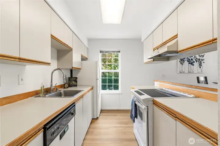 Lots of Cabinet space