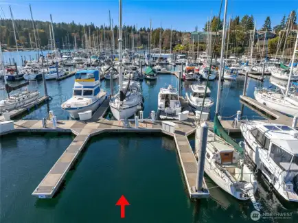 Listing Details