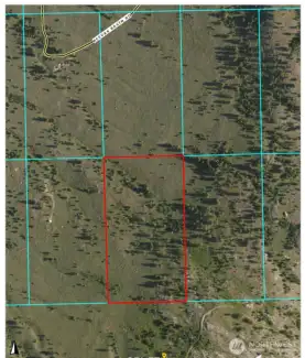 Listing Details