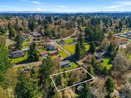 Listing Details
