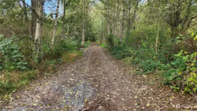 Looking towards Nevans St from the easement on the property