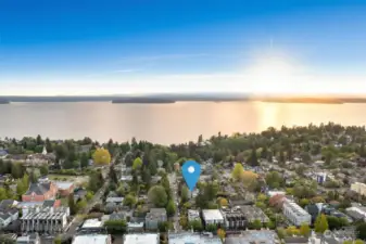Set in an ideal location, these homes are seconds from Lincoln Park, Lowman Beach Park, Caffe Ladro, Taquitos Feliz food truck, the Westy, West Seattle Golf Course & all of California Ave’s classics!