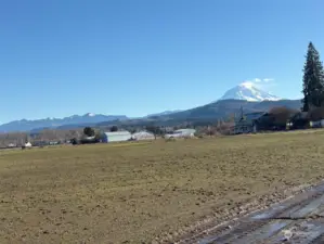 Mt Rainier view