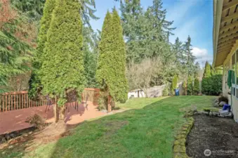 Enjoy a great view of the spacious backyard and large deck—perfect for outdoor living.