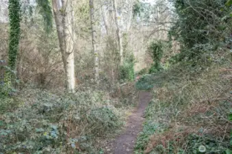 Additional view of the scenic trail system located directly behind the home.
