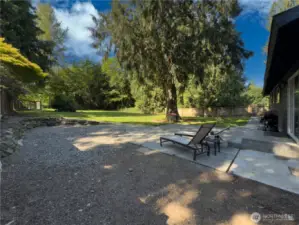 Huge, fully fenced backyard with patio, fire pit area & oversized dog kennel or chicken run.