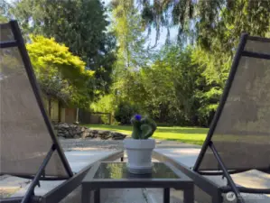 Huge, fully fenced backyard with patio, fire pit area & oversized dog kennel or chicken run.