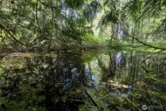 The pond is situated behind and below the home. Perhaps take a canoe and explore the beautiful area?