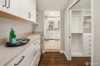 Primary en-suite with wine fridge and custom built-ins