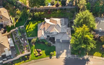 This is a 10,000 sq ft yard!
